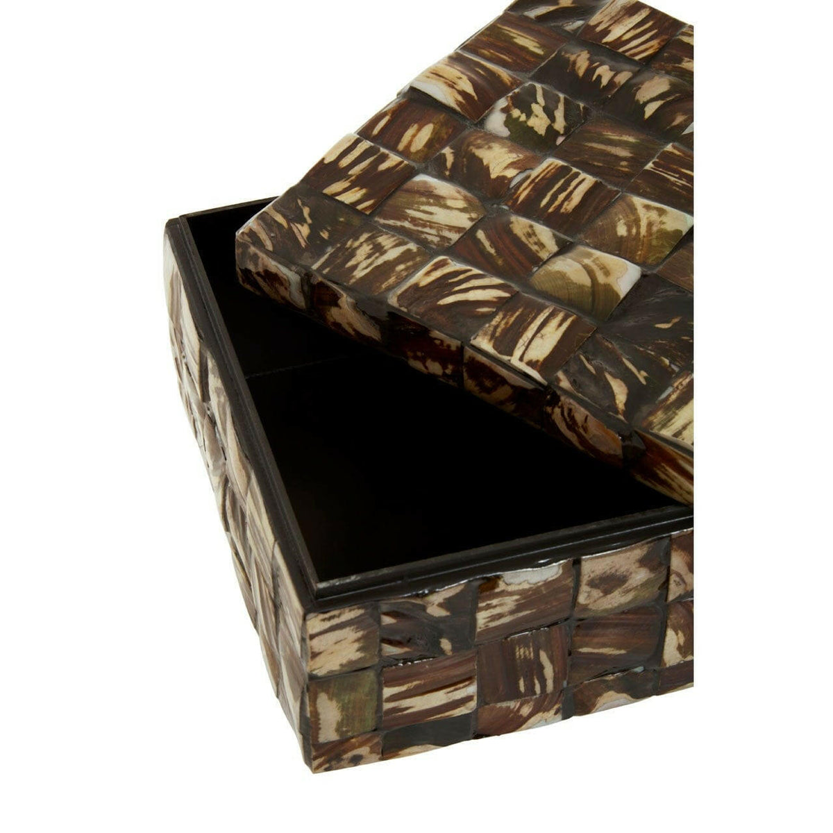 Brendan Large Natural Shell Detail Box.