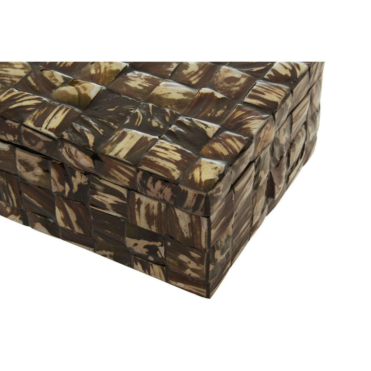 Brendan Large Natural Shell Detail Box.