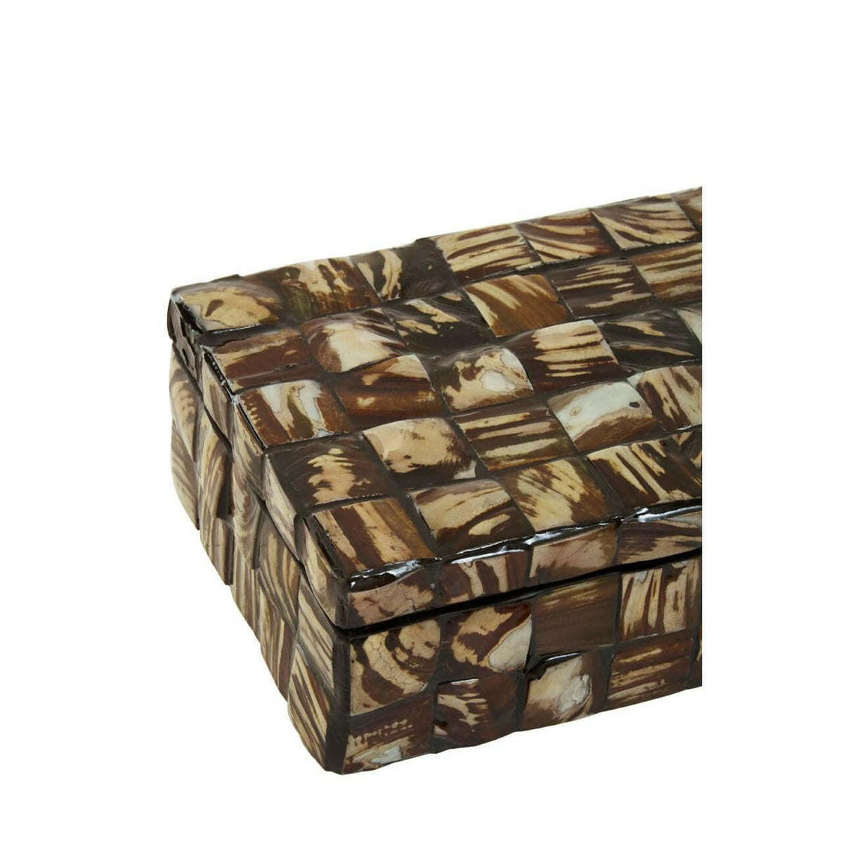 Brendan Small Natural Shell Detail Box.