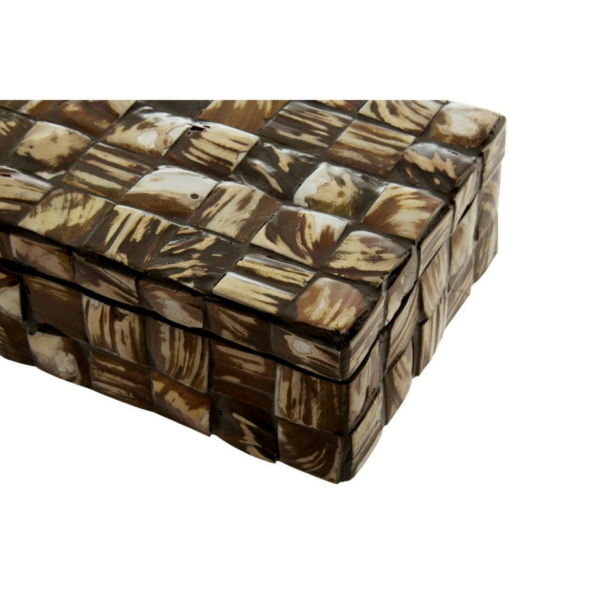 Brendan Small Natural Shell Detail Box.