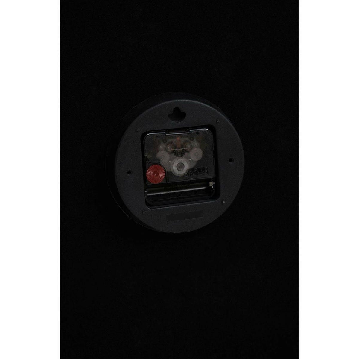 Celina Botanical Wall Clock.