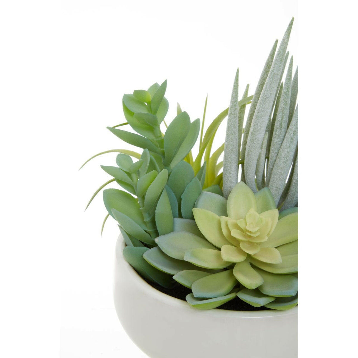 Fiorantina Mixed Succulents In Large Ceramic Pot.