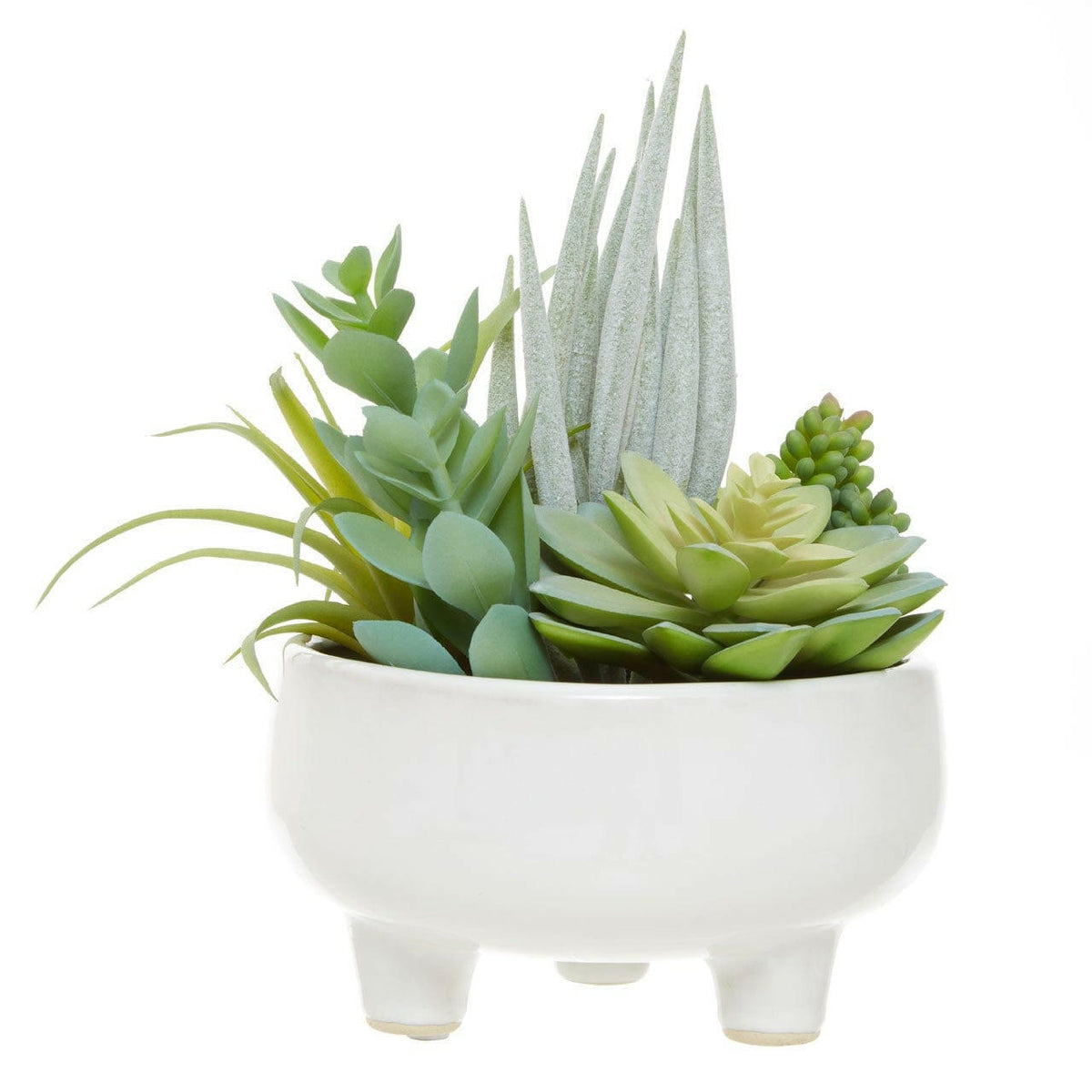 Fiorantina Mixed Succulents In Large Ceramic Pot.