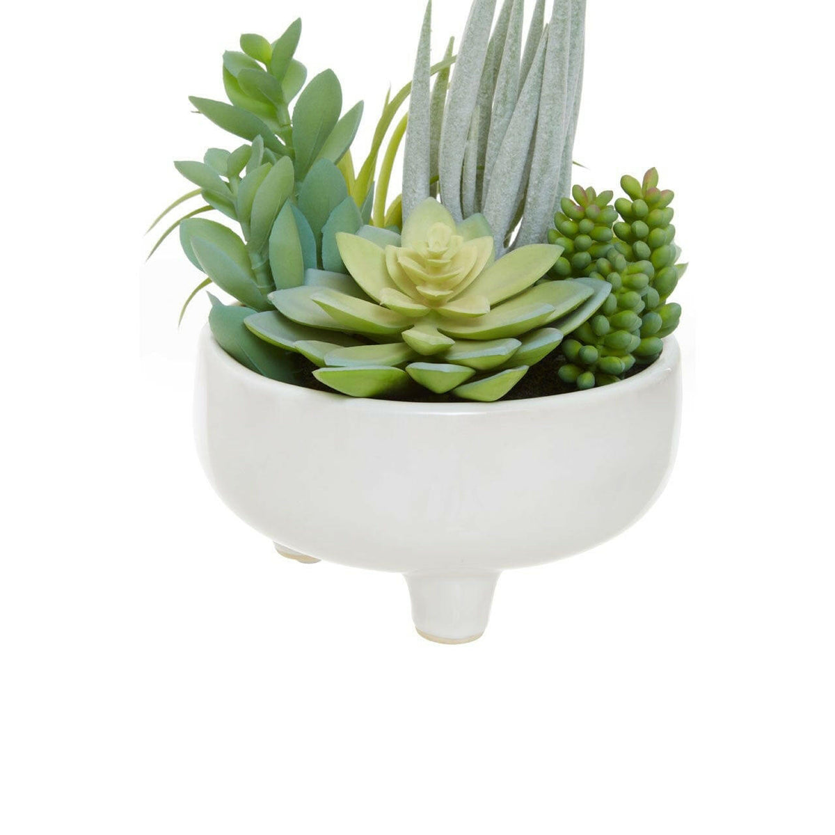 Fiorantina Mixed Succulents In Large Ceramic Pot.