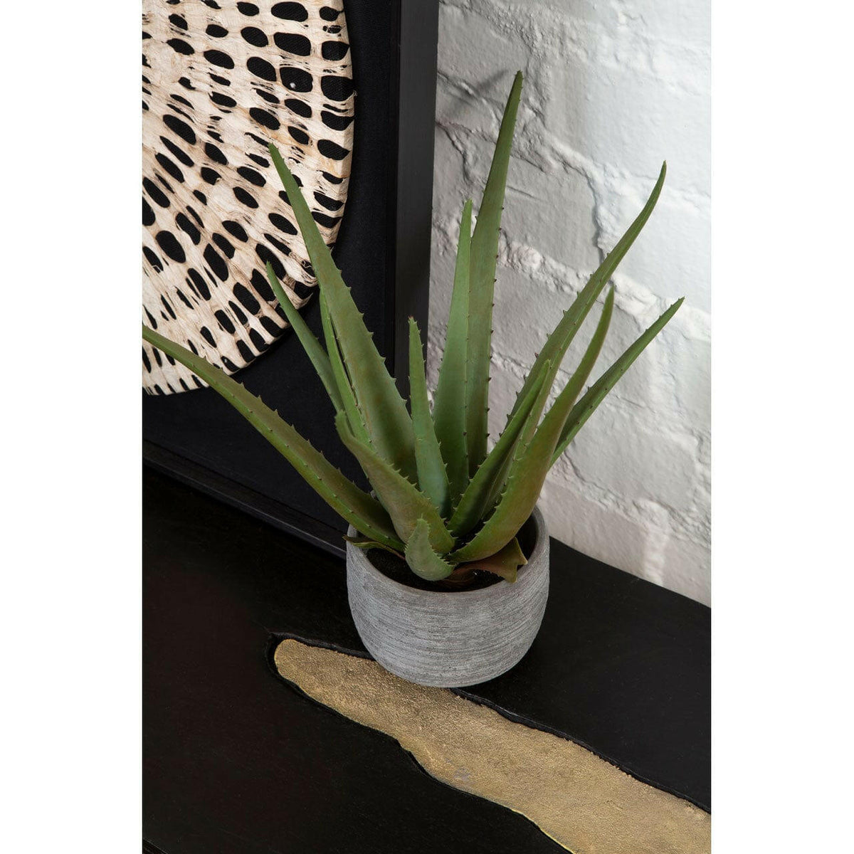 Fiori Large Aloe Vera With Cement Pot.