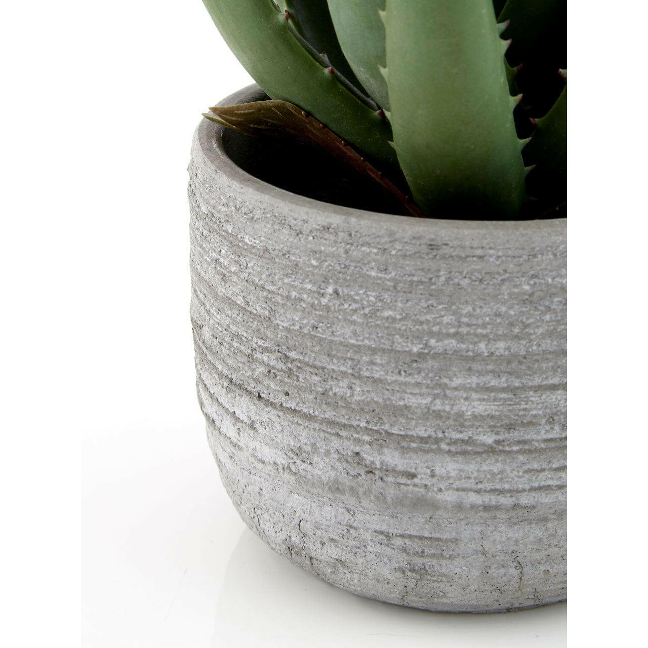 Hamilton Interiors Accessories Fiori Large Aloe Vera With Cement Pot House of Isabella UK