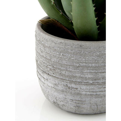 Hamilton Interiors Accessories Fiori Large Aloe Vera With Cement Pot House of Isabella UK