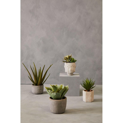 Hamilton Interiors Accessories Fiori Large Aloe Vera With Cement Pot House of Isabella UK