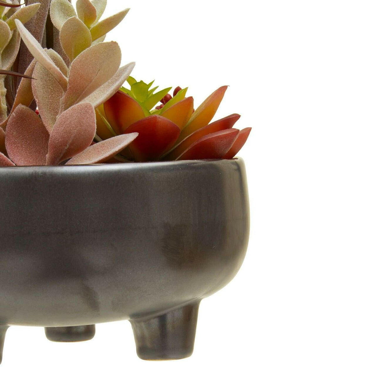 Fiori Mixed Succulents In Grey Ceramic Pot.