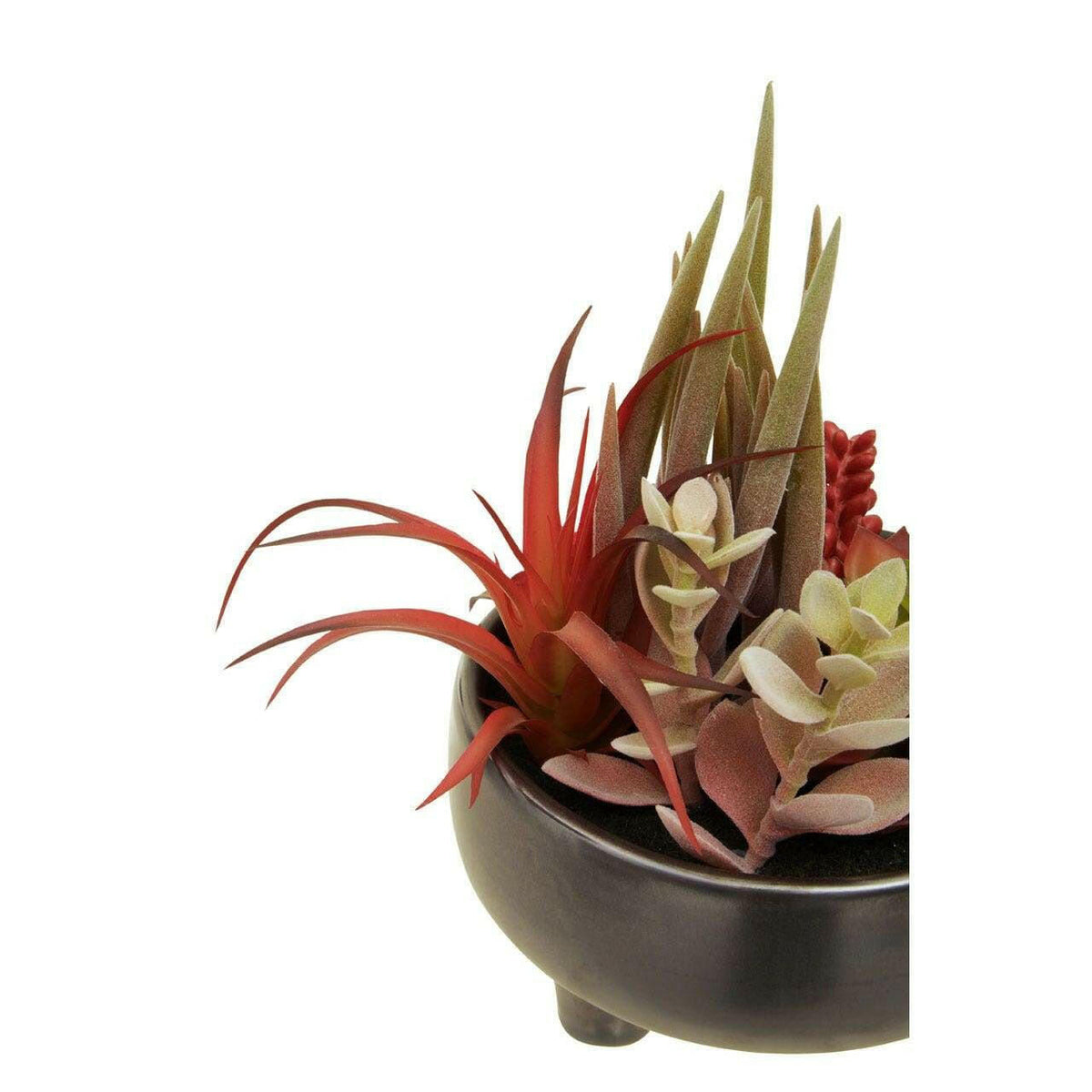 Fiori Mixed Succulents In Grey Ceramic Pot.