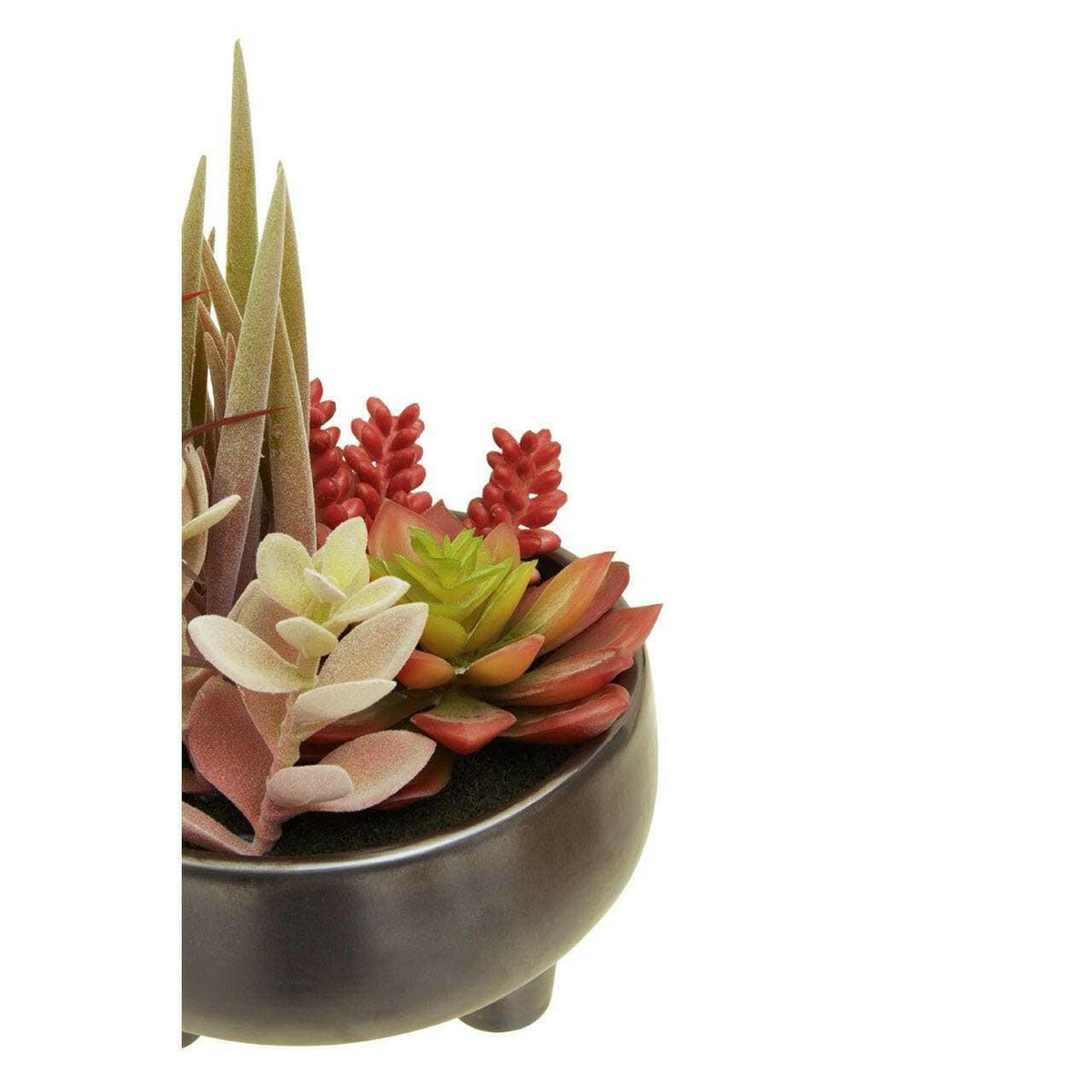 Fiori Mixed Succulents In Grey Ceramic Pot.