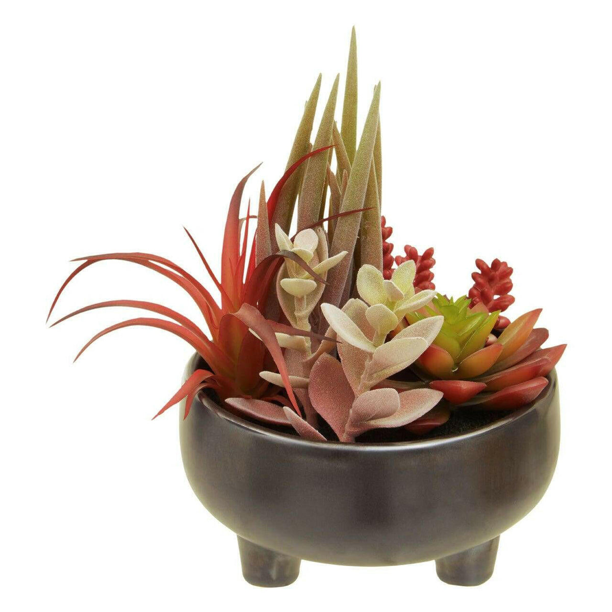 Fiori Mixed Succulents In Grey Ceramic Pot.