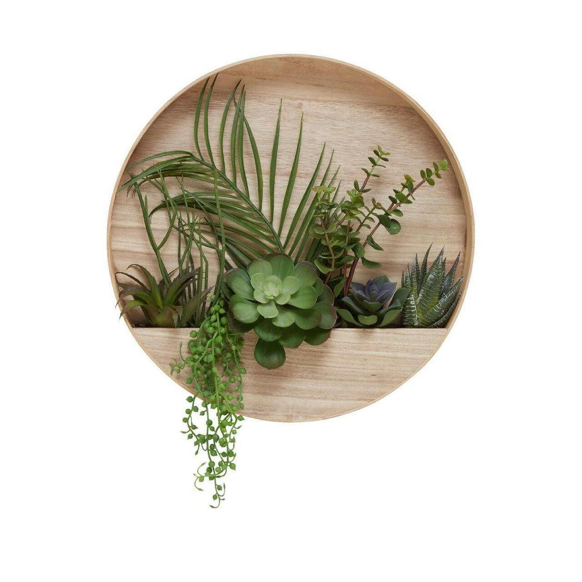 Fiori Mixed Succulents In Wood Wall Planter.