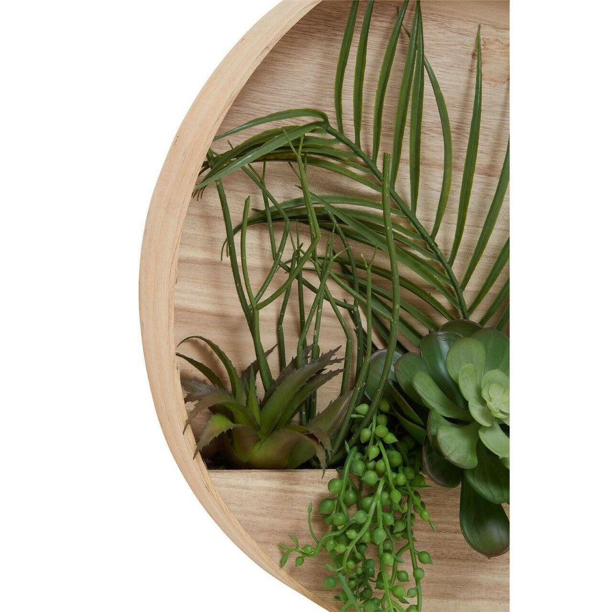 Fiori Mixed Succulents In Wood Wall Planter.