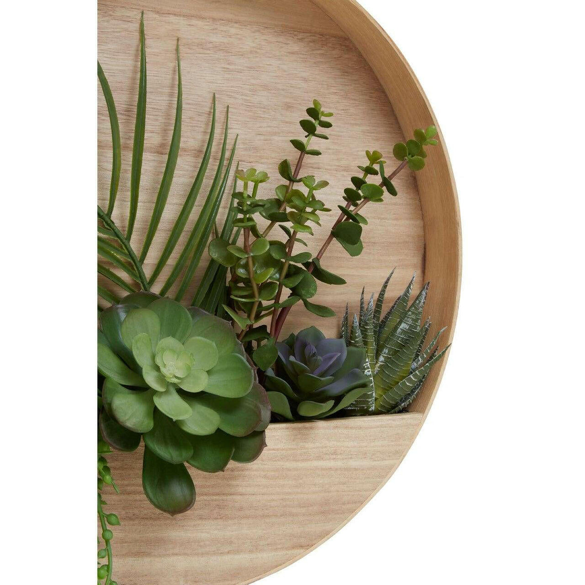 Fiori Mixed Succulents In Wood Wall Planter.