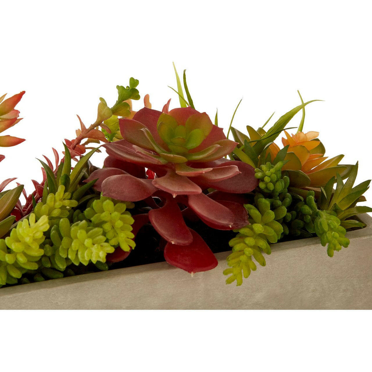 Fiori Mixed Succulents With Cement Pot.