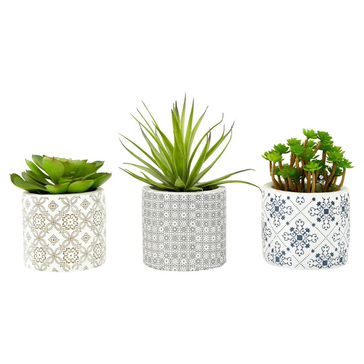 Fiori Set Of 3 Succulents In Henna Ceramic Pots.