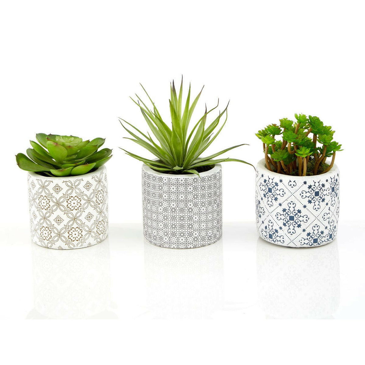 Fiori Set Of 3 Succulents In Henna Ceramic Pots.