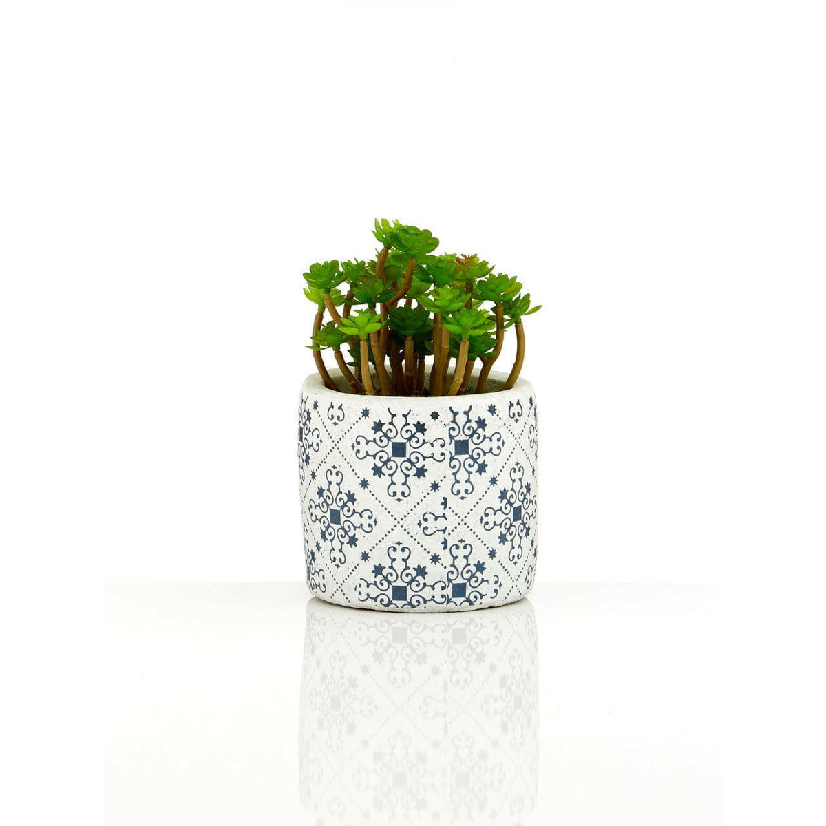 Fiori Set Of 3 Succulents In Henna Ceramic Pots.
