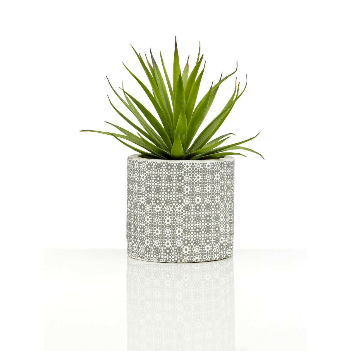 Fiori Set Of 3 Succulents In Henna Ceramic Pots.