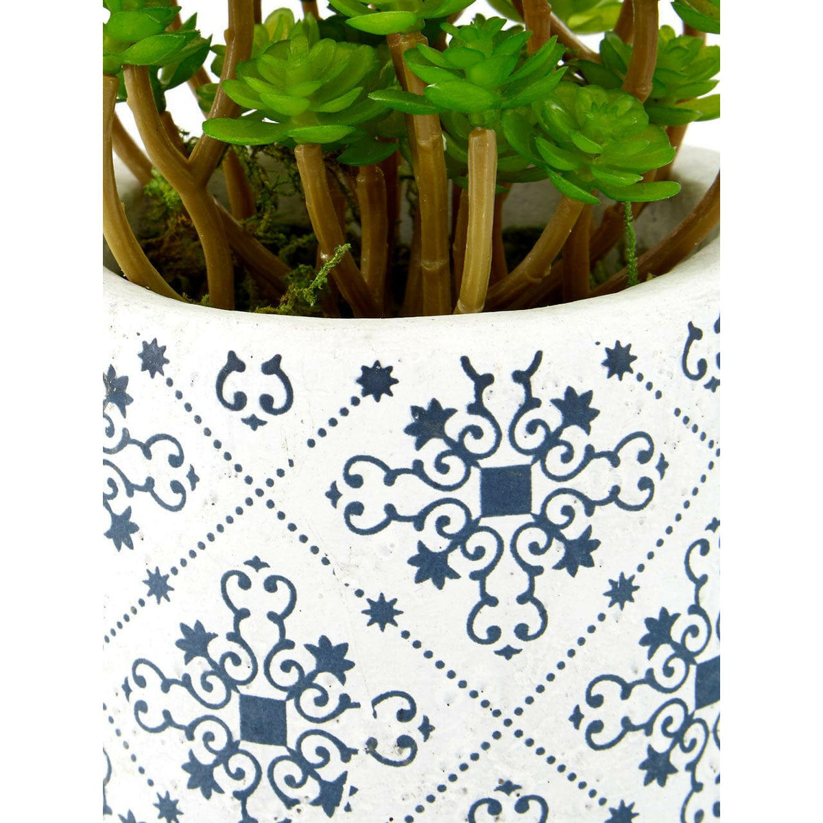 Fiori Set Of 3 Succulents In Henna Ceramic Pots.