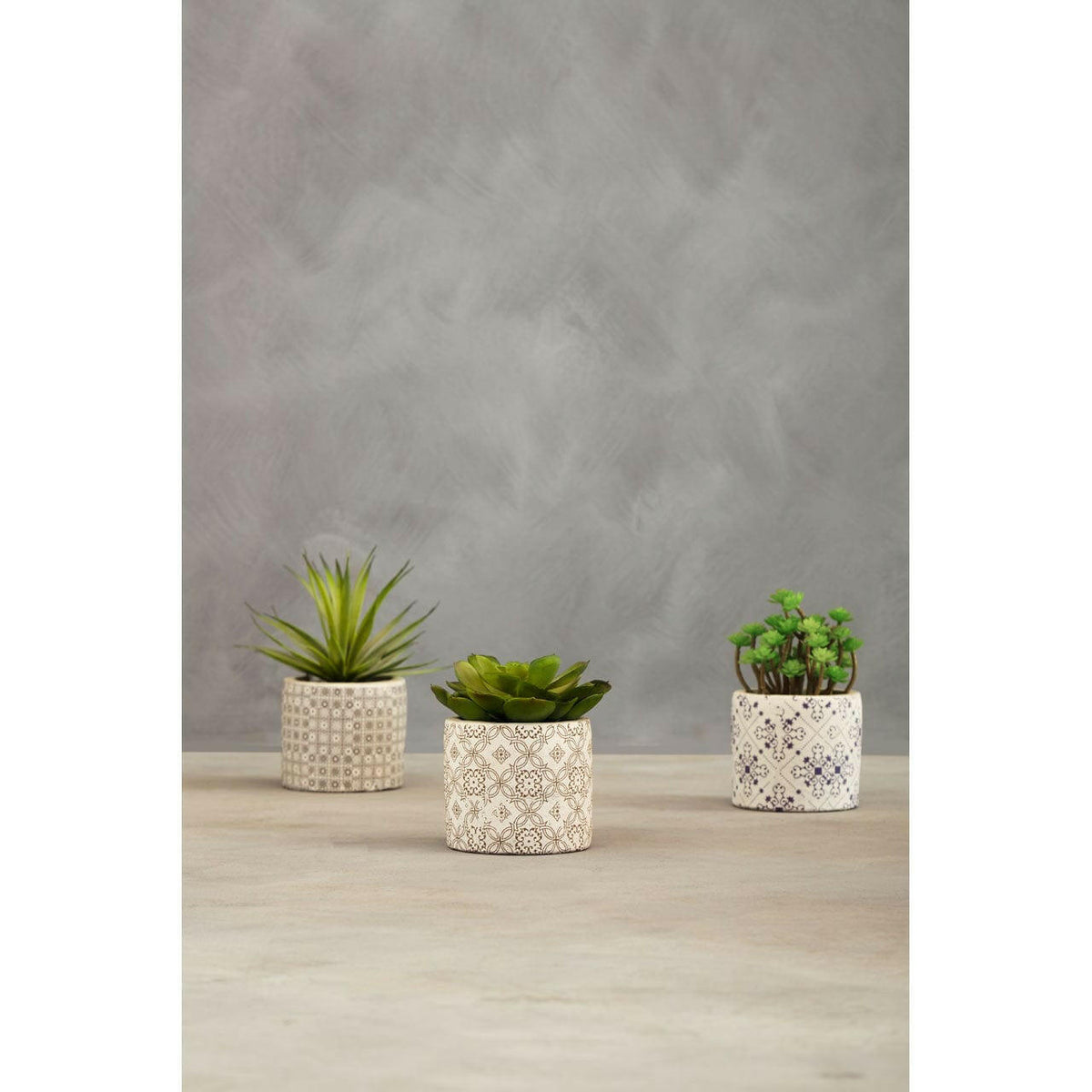 Fiori Set Of 3 Succulents In Henna Ceramic Pots.
