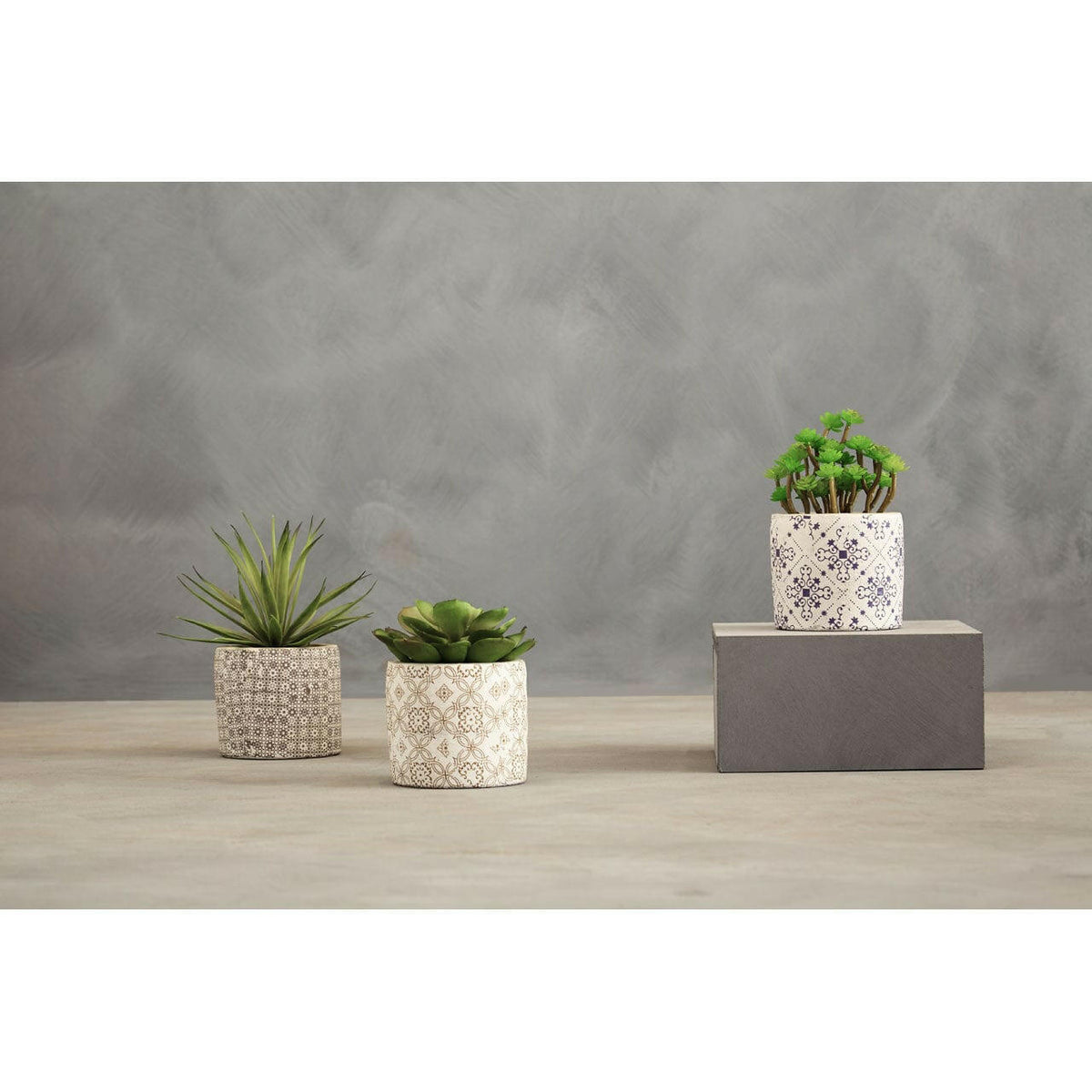 Fiori Set Of 3 Succulents In Henna Ceramic Pots.