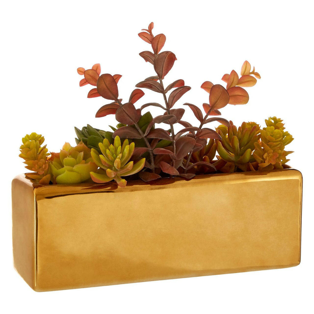 Mixed Succulents Fiori With Ceramic Gold Pot.