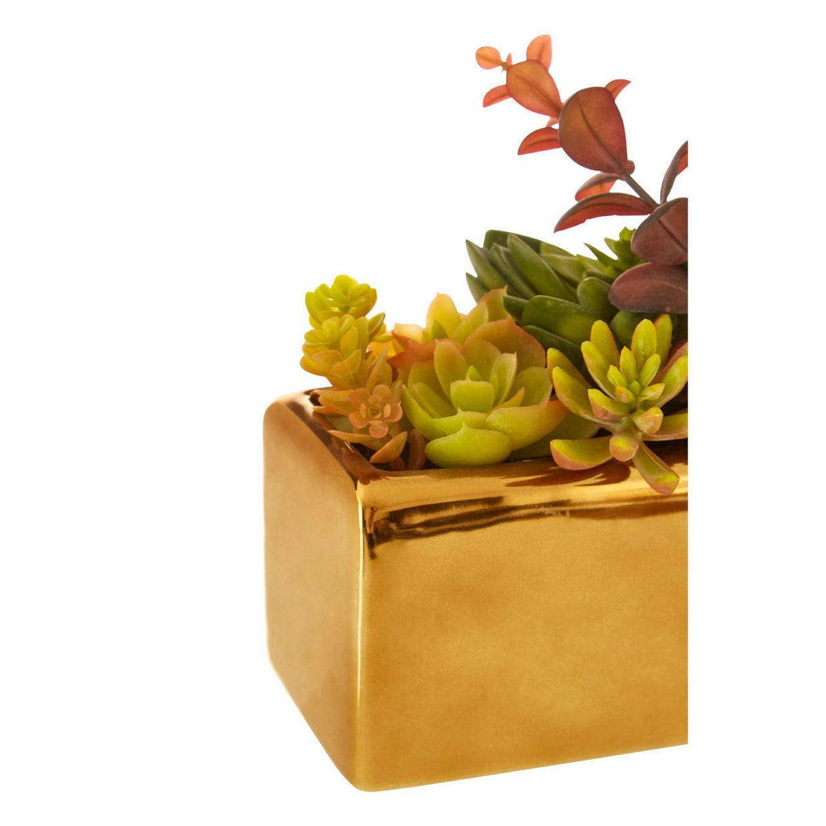 Mixed Succulents Fiori With Ceramic Gold Pot.
