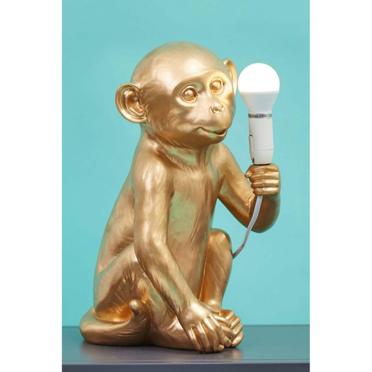 Boho Monkey Lamp.