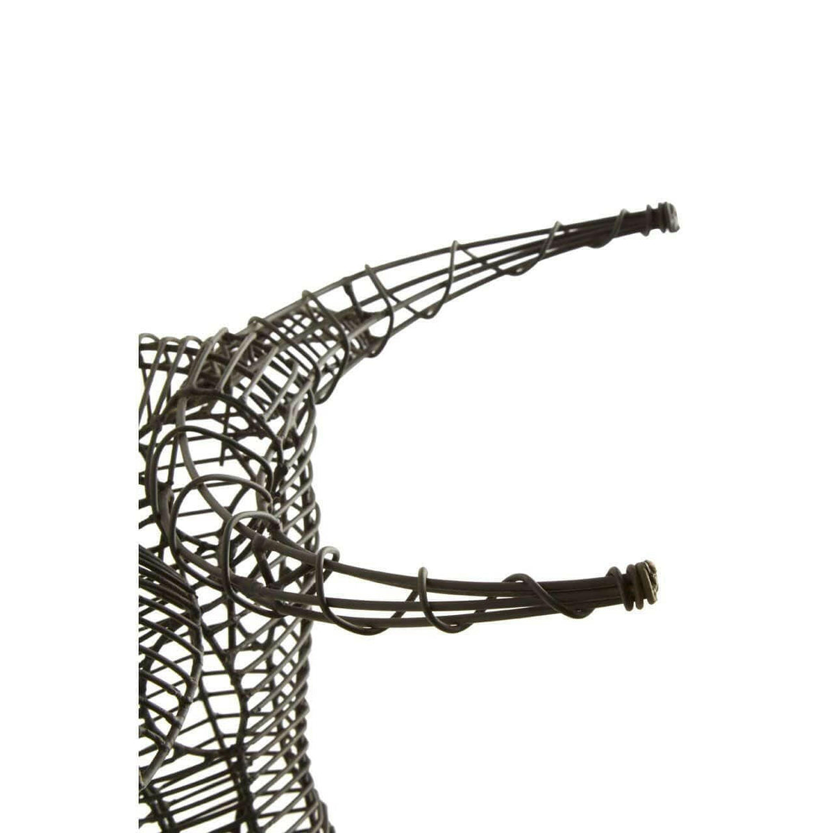 Zania Black Kikuya Head.