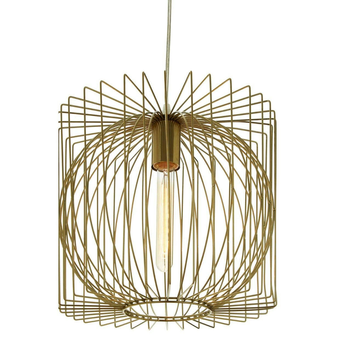 Aselo Gold Finish Pendant Lamp.