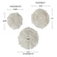 Uttermost Ocean Gems Coral Wall Decor, Set/3.