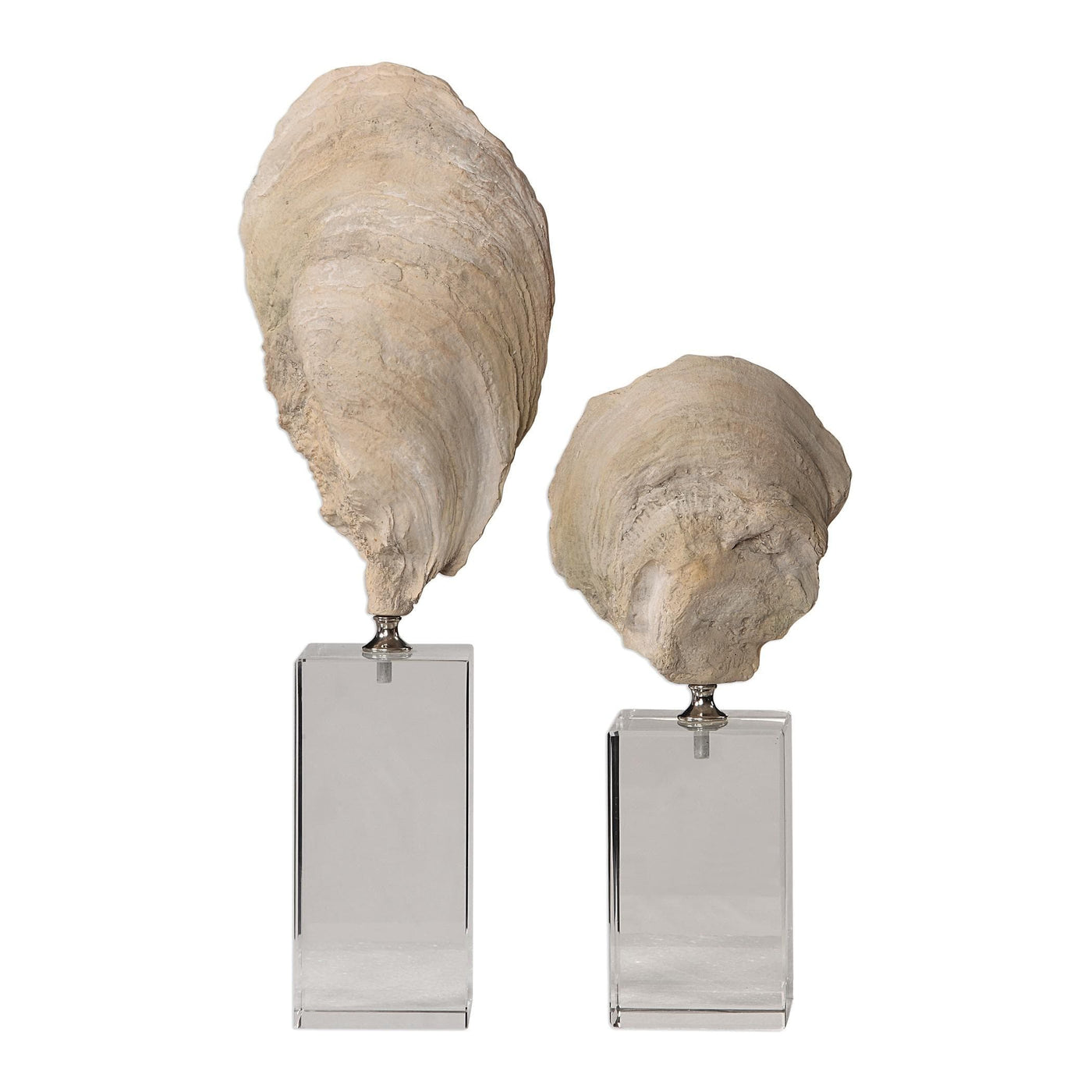 Uttermost Accessories Uttermost Oyster Shell Sculptures, Set of 2 House of Isabella UK