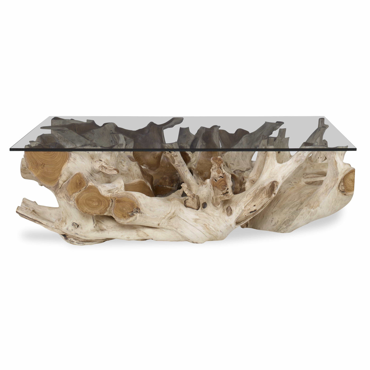 Uttermost Living Black Label Center Root Coffee Table - Rectangle House of Isabella UK